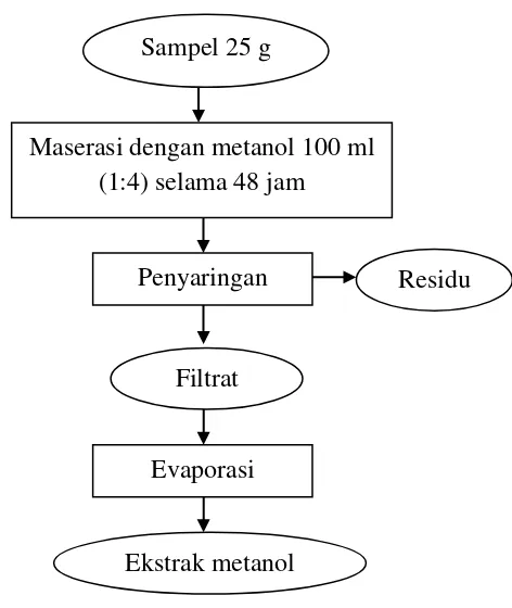 Gambar 3 Diagram alir proses ekstraksi sampel  