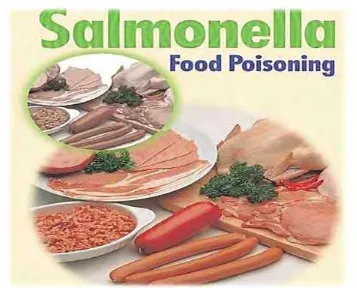 Gambar 6. Bahan Makanan Sumber Pencemaran Salmonella 