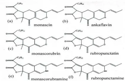 Gambar 4    Struktur kimia pigmen dari kapang Monascus sp.                                       (Pattanagul et al