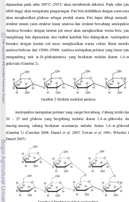 Gambar 3 Struktur molekul amilopektin 