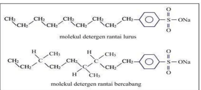Gambar 3. Molekul detergen 