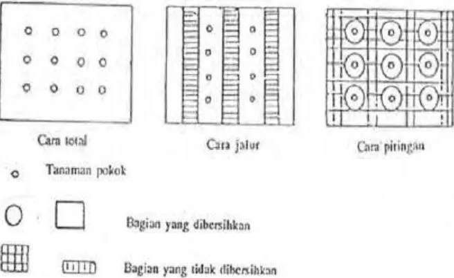 Gambar 14. Penyiangan dengan herbisida 