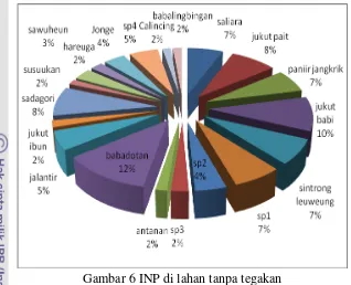 Gambar 6 INP di lahan tanpa tegakan 