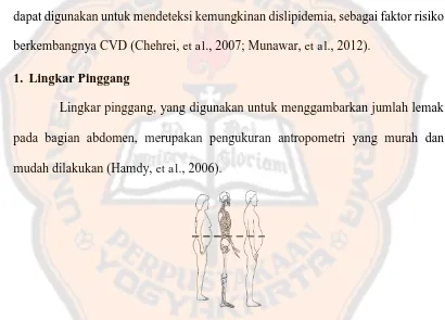 Gambar 2. Posisi Pengukuran Lingkar Pinggang (McKinley Health Center, 2009)