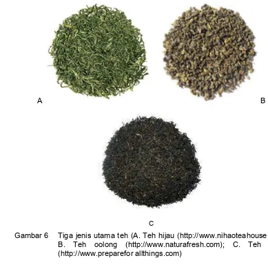 Gambar 6 Tiga jenis utama teh (A. Teh hijau (http://www.nihaoteahouse.com); 