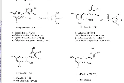 Gambar 8  Struktur kimia jenis catechin teh serta jenis epimer turunannya 
