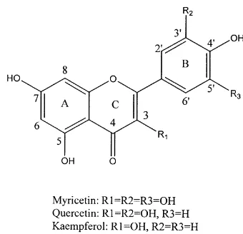 Gambar 9 Struktur kimia flavonols pada teh (Wang 2000) 
