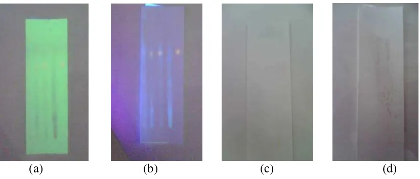 Gambar 4. Contoh Kromatogram Sampel yang Positif Menunjukkan Rhodamin