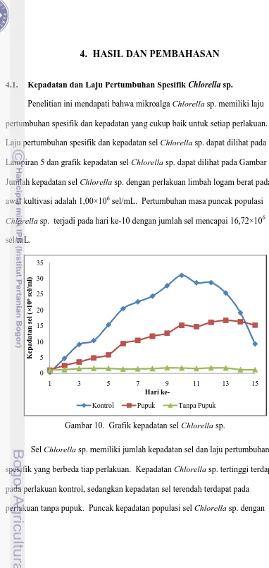 Gambar 10.  Grafik kepadatan sel Chlorella sp. 