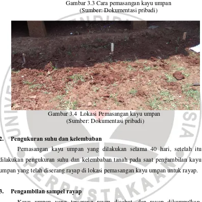 Gambar 3.3 Cara pemasangan kayu umpan 