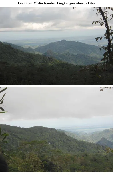 Gambar 1 dan 2. Lingkungan di Bukit Gajah 