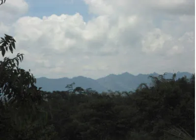 Gambar 3 dan 4. Lingkungan di Bukit Bersih 