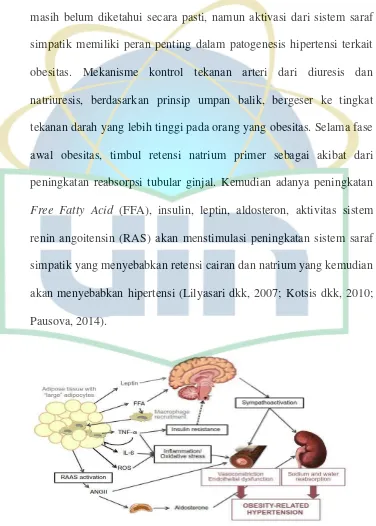 Gambar 2.1 Mekanisme Obesitas Terkait Hipertensi (Pausova, 2014) 