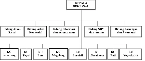 Gambar 4. struktur organisasi PT. Askes regional VI Jawa Tengah & D.I.Y 