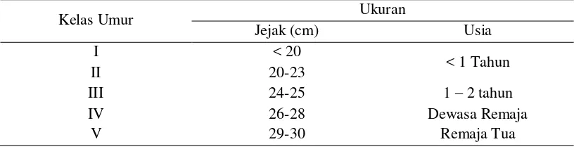 Tabel 1  Perbandingan ukuran jejak dengan perkiraan kelas umur badak jawa 