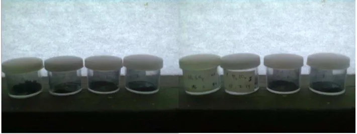 Gambar 4.2. Proses pencucian melalui filtrasi PANi doping H2SO4 