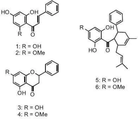 Gambar 2. Beberapa struktur senyawa aktif pada rimpang temukunci, (1)   kalkon pinosembrin, (2) kardamonin, (3) pinosembrin, (4)   pinostrobin, (5) 4- hidroksi panduratin A, dan (6)panduratin A 