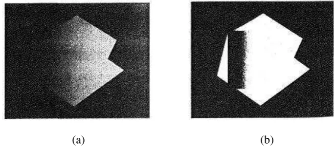 Gambar 2.11 Hasil Segmentasi Menggunakan Adaptive Thresholding. (a) 