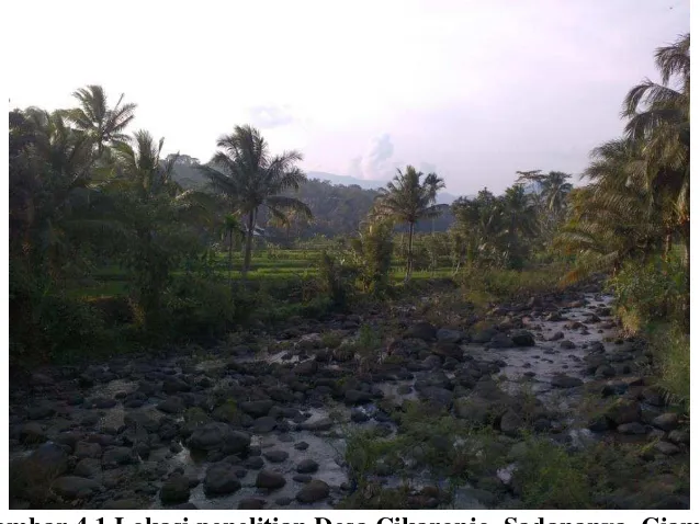 Gambar 4.1 Lokasi penelitian Desa Cikaronjo, Sadananya, Ciamis, Jawa Barat 