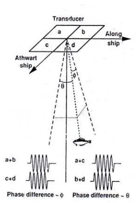 Gambar 2. Bentuk split beam dan full beam echosounder 