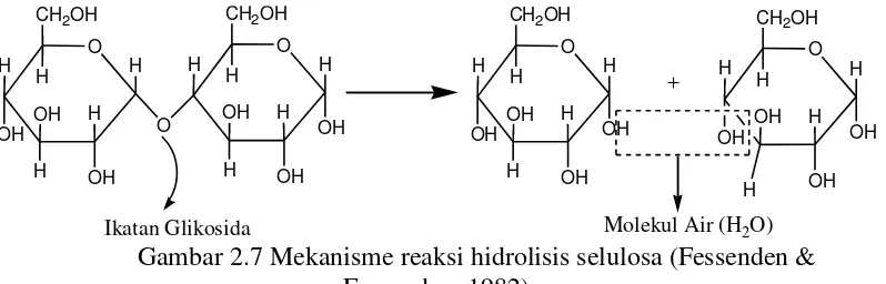 Gambar 2.7 Mekanisme reaksi hidrolisis selulosa (Fessenden & 