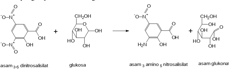 Gambar 2.9 Reaksi gula pereduksi dengan 3,5-dinitrosalisilat 