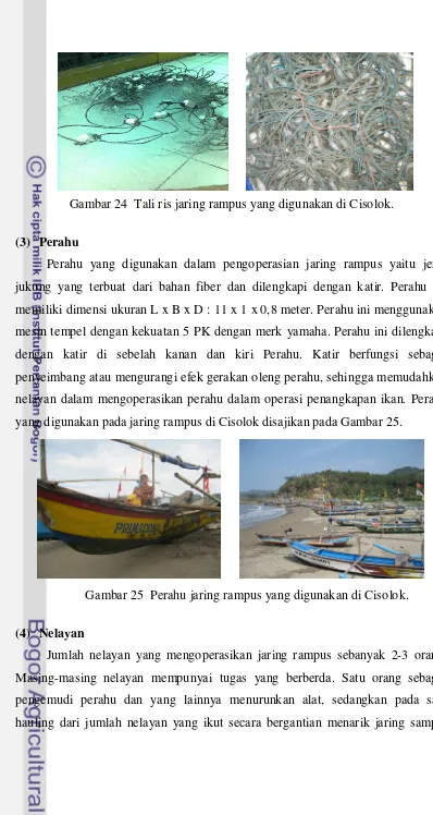 Gambar 24  Tali ris jaring rampus yang digunakan di Cisolok. 