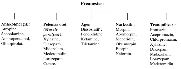 Gambar 1. Klasifikasi agen preanestesi yang digunakan pada anestesi umum (Sumber: Warren 1983; McKelvey dan Hollingshead 2003)