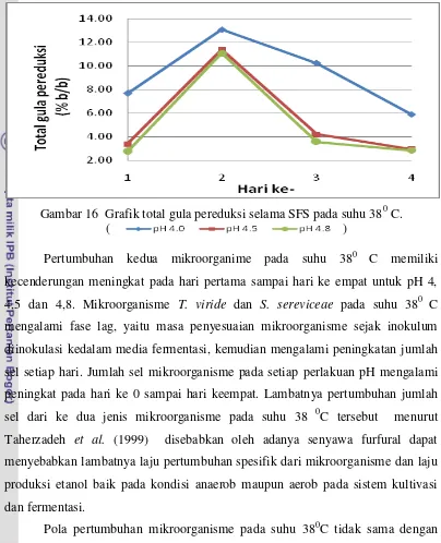 Gambar 16  Grafik total gula pereduksi selama SFS pada suhu 380 C. 