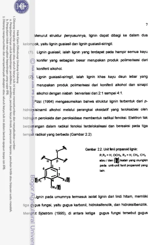Gambar 22. Unitfenil propanoid lignbr: 