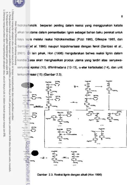 Gambar 2.3. Reaksi tinin dengan alkali (Hon 1996) 