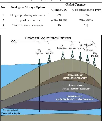 Tabel 2 Kapasitas penyimpanan gas CO2 (IEA 2006)