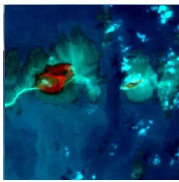 Gambar 11. Komposit 421 Pada Citra Satelit LANDSAT      di Perairan Pulau Panjang dan Pulau Semujur  