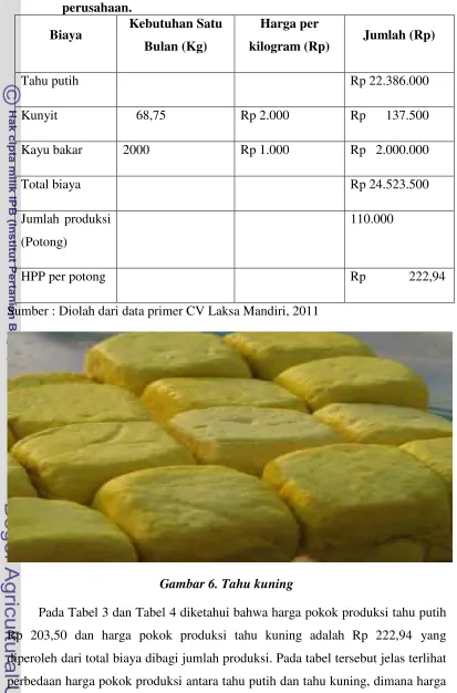 Gambar 6. Tahu kuning 