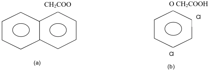 Gambar 1.  Rumus bangun ZPT Auksin dan berat mol, (a) NAA ( BM : 186, 21         g/mol), (b) 2,4 D ( BM : 221, 04 g/mol)   