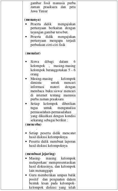 gambar fosil manusia purba 