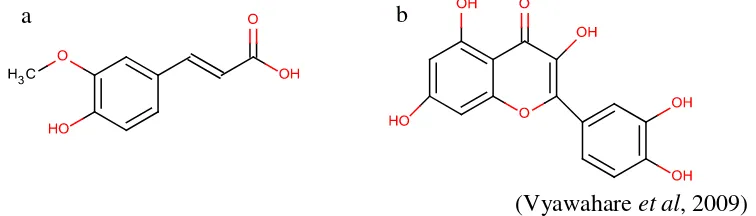 Gambar 1. Struktur dari (a) senyawa fenolik yaitu asam ferulat; (b) senyawa flavonoid yaitu kuersetin 