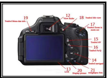 Gambar 2.3 struktur kamera dari belakang 