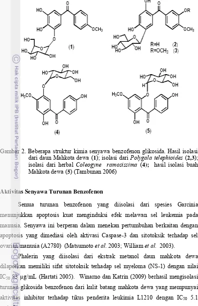 Gambar 2. Beberapa struktur kimia senyawa benzofenon glikosida. Hasil isolasi 