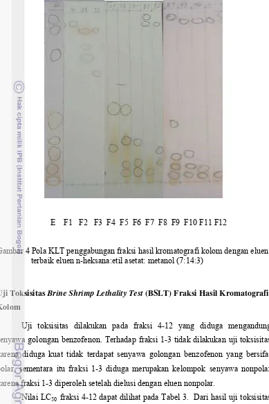 Gambar 4 Pola KLT penggabungan fraksi hasil kromatografi kolom dengan eluen 