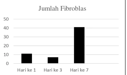 Gambar 1. Perbandingan Jumlah Fibroblast hari ke 1,3, dan 7. 