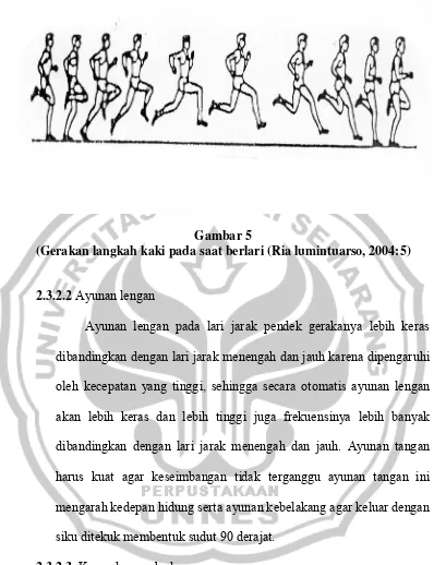 Gambar 5 (Gerakan langkah kaki pada saat berlari (Ria lumintuarso, 2004:5) 