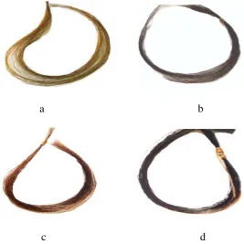 Gambar 4.1 Pengaruh perbedaan  konsentrasi  pirogalol  dan  tembaga  (II)  sulfat terhadap perubahan warna rambut uban dengan lama perendaman 4 jam 