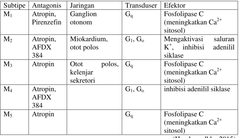 Tabel 2.1 Subtipe reseptor muskarinik dengan antagonisnya 