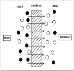 Gambar 2. Struktur molekul PTFE(http://www.net-master.net/~ptfedav)