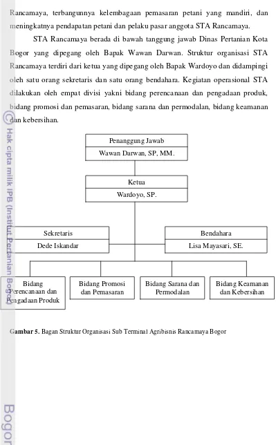 Gambar 5. Bagan Struktur Organisasi Sub Terminal Agribisnis Rancamaya Bogor