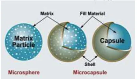 Gambar 2.5. Mikrosfer dan Mikrokapsul 