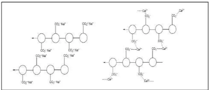 Gambar 2.6. Proses terjadinya tautan silang antara polimer natrium alginat 