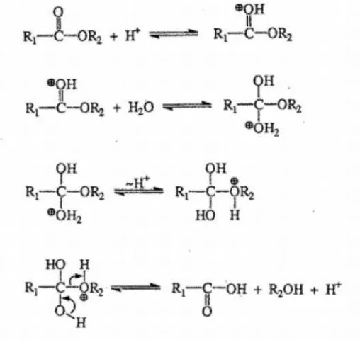 Gambar 2.4 Mekanisme reaksi hidrolisis pada ester