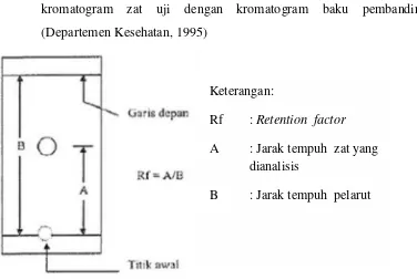 Gambar 2.9. Skema kromatografi lapis tipis